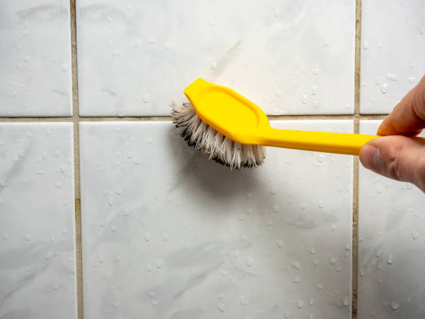 Best Mold Remediation  in East Dennis, MA